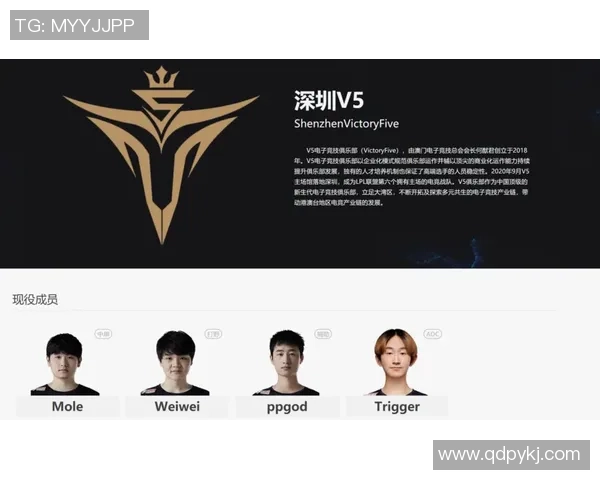 英雄联盟专题：聚焦V5的心理素质